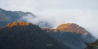 入秋【红岭公路】