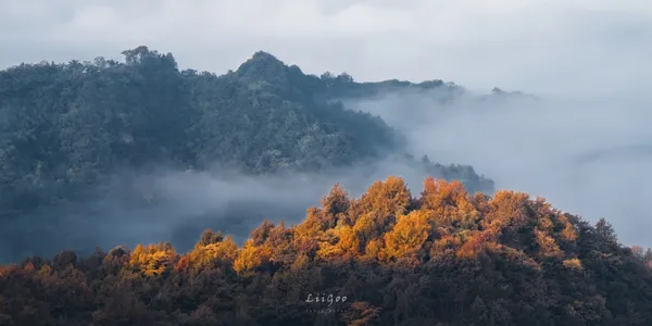 入秋【红岭公路】